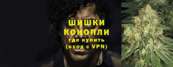 мяу мяу мука Бородино
