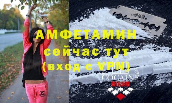 мяу мяу мука Бородино