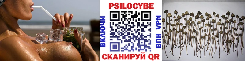 Псилоцибиновые грибы MAGIC MUSHROOMS Ачинск